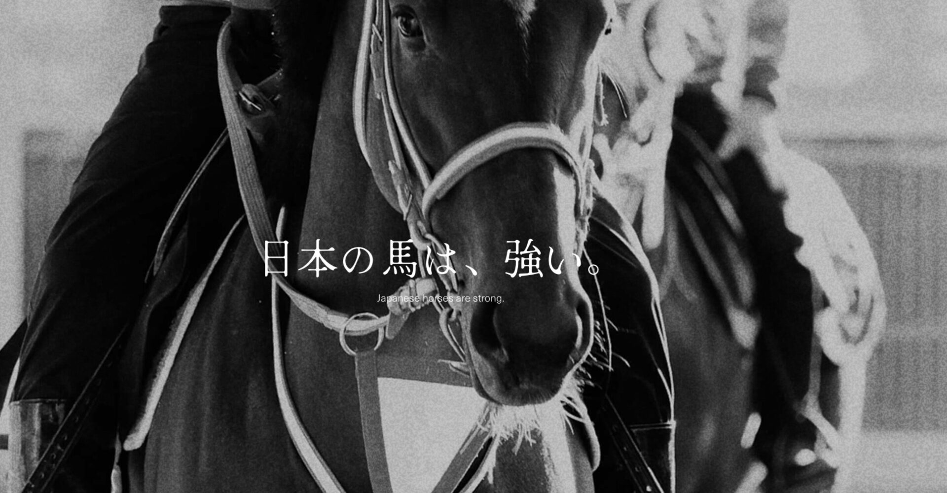 「世界の矢作」を発信する。JRA所属、矢作芳人調教師の公式ウェブサイト